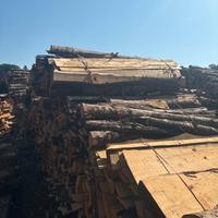 Pacchi di scorze di castagno