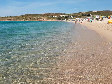 Trinità d'agultu bilo a prezzi PAZZI
