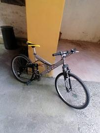 Bicicletta