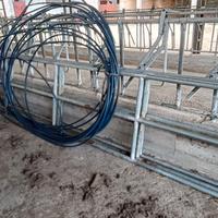 Cancelli per vitelli