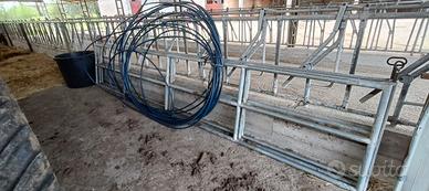 Cancelli per vitelli