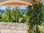 Immagine 16