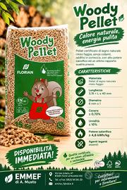Woody pellet- misto faggio