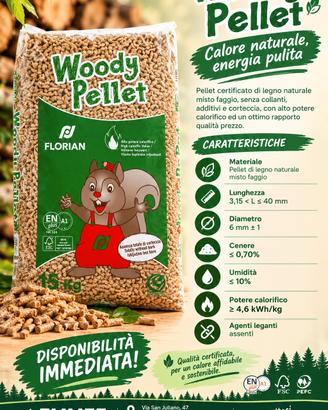 Woody pellet- misto faggio