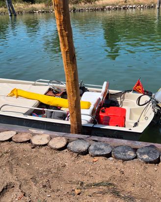 boston whaler 13 sport classic con Honda 40 hp