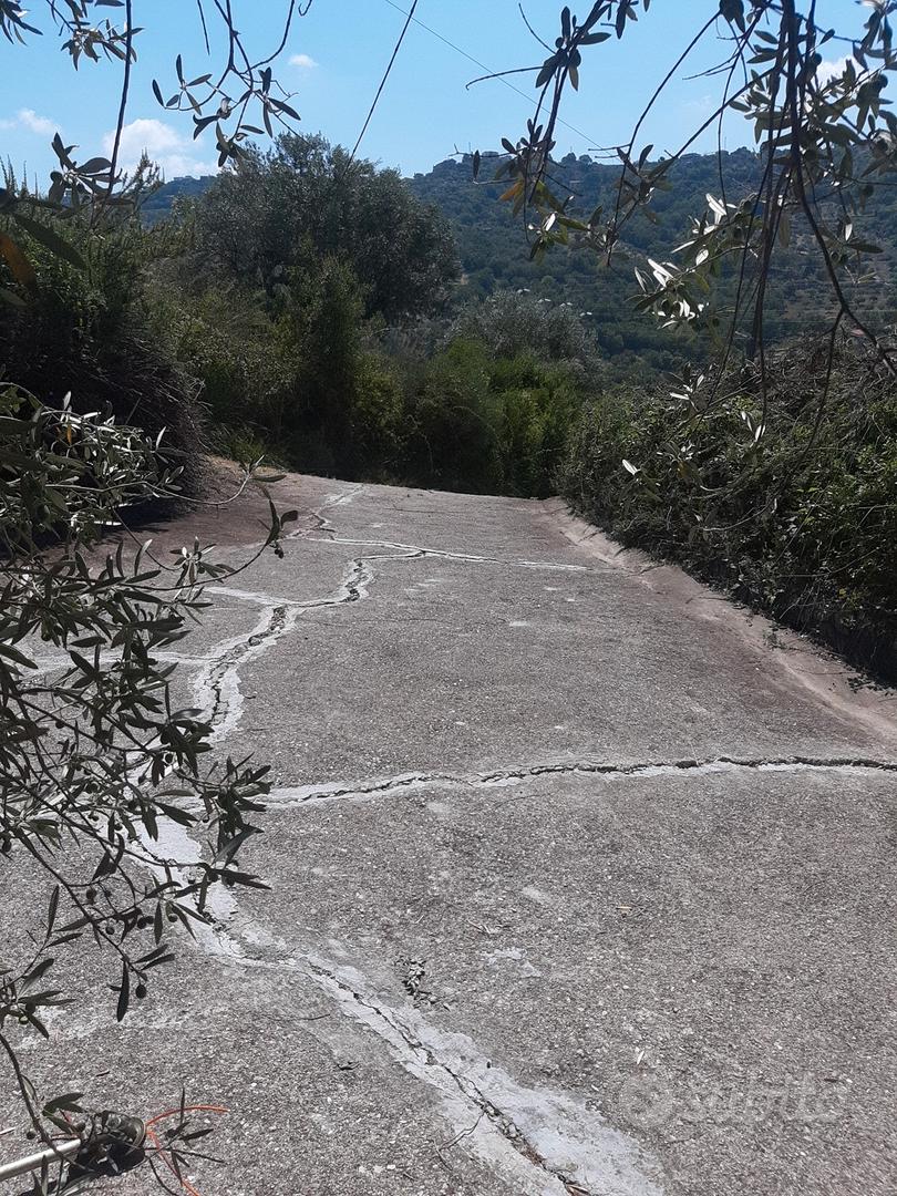Terreno uliveto zona Fuondi Agropoli - Altro