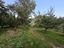 Immagine 13