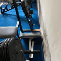 Dischi Palestra