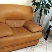 Gran Poltrona "MaxDivani" in vera pelle pienofiore
