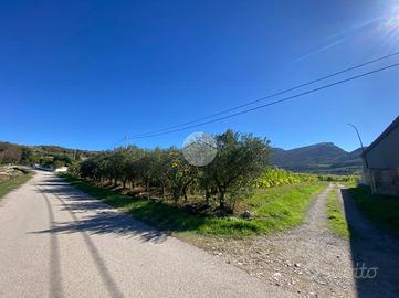 TER. AGRICOLO A CAPACCIO