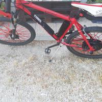 Bicicletta pedalata assistita