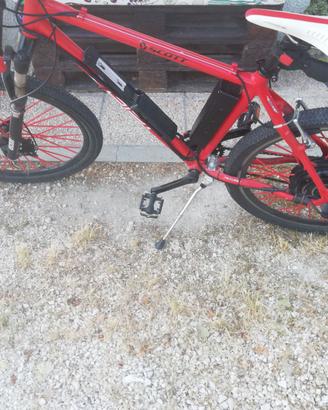 Bicicletta pedalata assistita