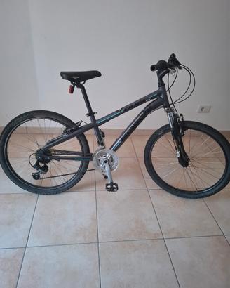 mtb Bianchi Duel 24"