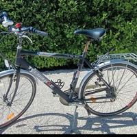 Bicicletta da passeggio da uomo