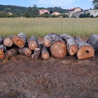 Tronchi di Cedro del Libano