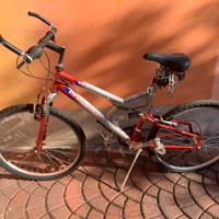 Bicicletta Henry Hogan