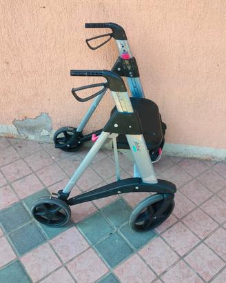 Deambulatore professionale