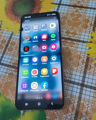 zeta flipper 5 con difetto nel display