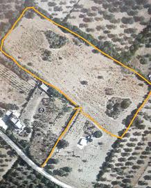 Terreni pianeggianti edificabili