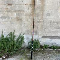 Canna da pesca al siluro