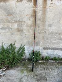 Canna da pesca al siluro