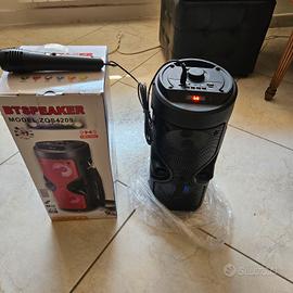 cassa bluetooth 40cm con microfono