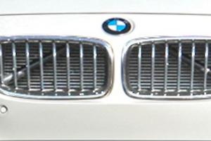 Griglia e calotte specchi bmw f31