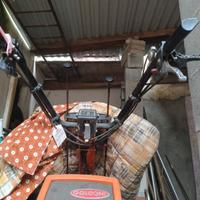 Motocoltivatore Goldoni jolly professional