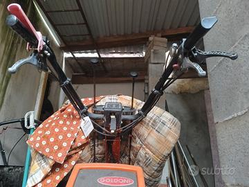 Motocoltivatore Goldoni jolly professional