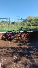 bici per immpenata 