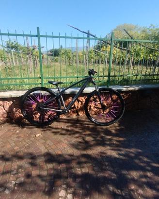 bici per immpenata 