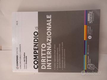 SIMONE  Compendio di ordinamento giudiziario