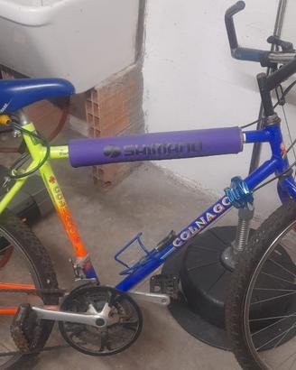 Mtb 26 pollici Colnago