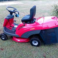 trattorino taglaerba