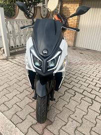 Sym Jet 14 125 - 2024