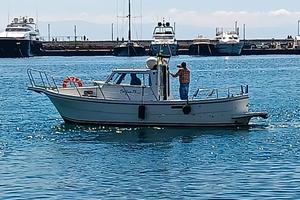 Barca a motore Delfino 75 Cabin