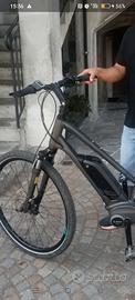 bici elettrica Sccot taglia grande 
