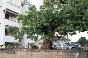 Bilocale Monticello Amiata