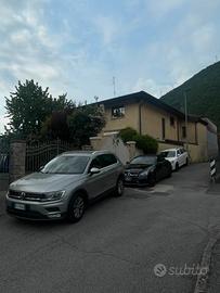 Tiguan businnes