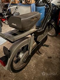 Califfone atala green