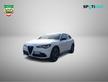 ALFA ROMEO Stelvio 2.2 Turbodiesel 210 CV AT8 Q4