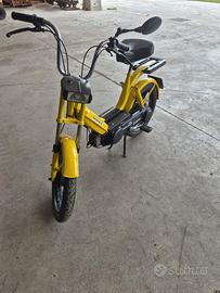 MOTORINO BRAVO