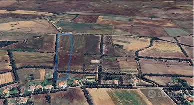 Terreno Agricolo Pianeggiante Bachileddu- Monte Pe