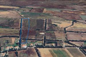 Terreno Agricolo Pianeggiante Bachileddu- Monte Pe