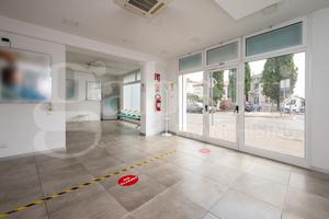 Laboratorio Rovigo [Cod. rif 3247285VCG]