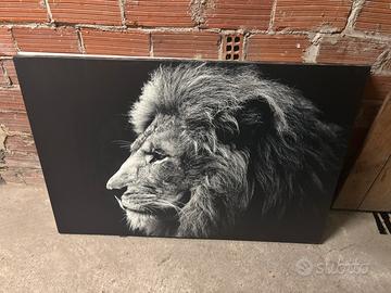 Quadro leone