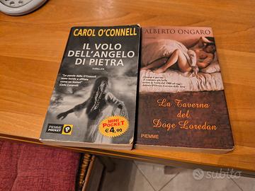 il volo dell angelo di pietra la taverna del doge 