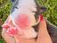Immagine 3