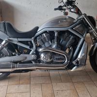 Harley-Davidson VROD