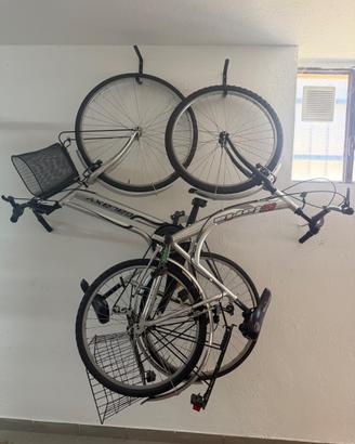 Coppia biciclette